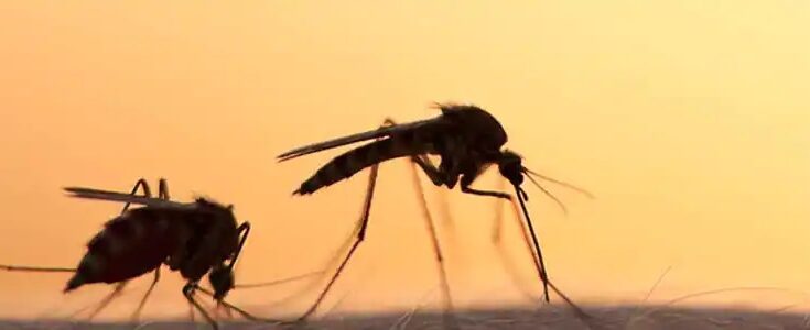 The spread of the Zika threat and the response of the global pharma industry – parallels to Ebola but important distinctions