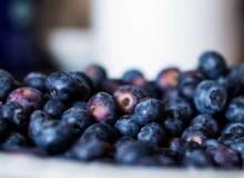 Blueberries: from superfood to a potential PTSD treatment