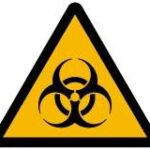 Deadly infection – what to do in the case of anthrax outbreak