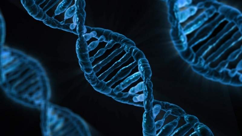 Gene therapy has the potential to treat genetic diseases.