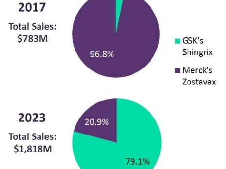 GSK and Dynavax were clear winners in the 2017 vaccines space
