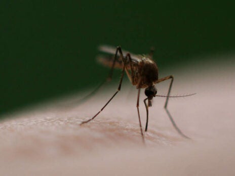 GSK gets priority review for Krintafel to prevent malaria relapse