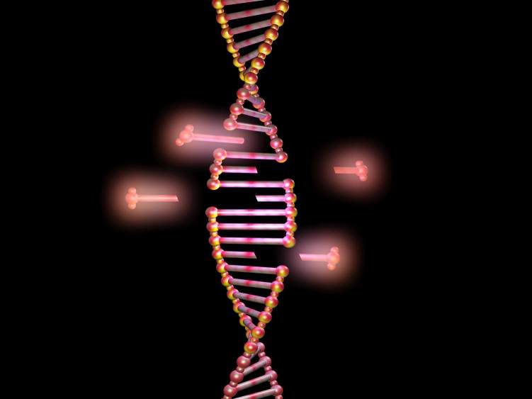 CRISPR-engineered mammalian cell lines