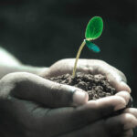 Big soil: Genentech and Lodo launch $1bn project to develop new drugs from earth
