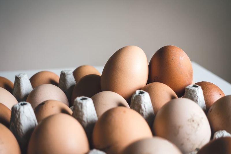 Genetically modified chicken eggs offer hope for cheaper drug production
