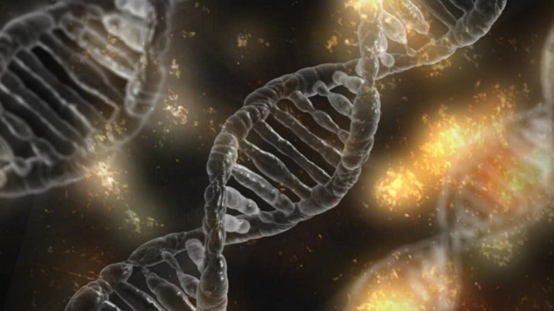 Beam Therapeutics raises $135m to advance CRISPR technologies