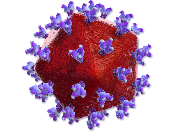 CytoDyn leronlimab monotherapy HIV