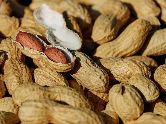 Aimmune's peanut allergy drug