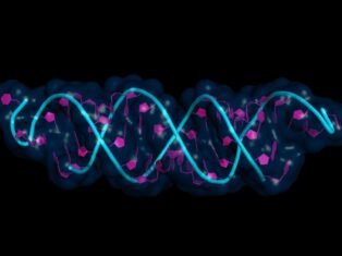 Epigenetics and cancer