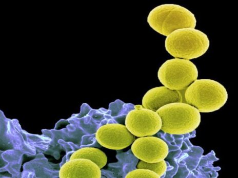 UN report outlines plan to address antimicrobial resistance