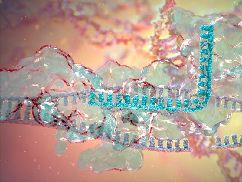 Future of CRISPR