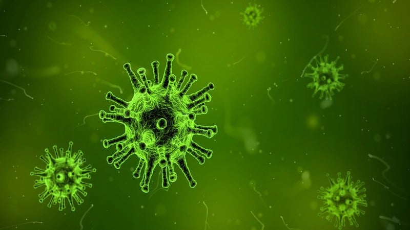 Study finds common cold virus could kill bladder cancer