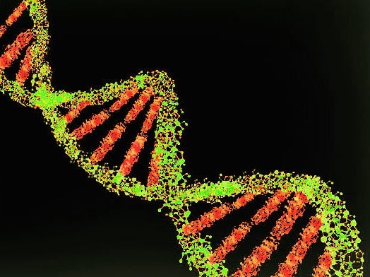 Vertex CRISPR gene editing
