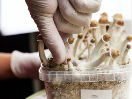 Psilocybin moves closer to becoming a licensed treatment for depression