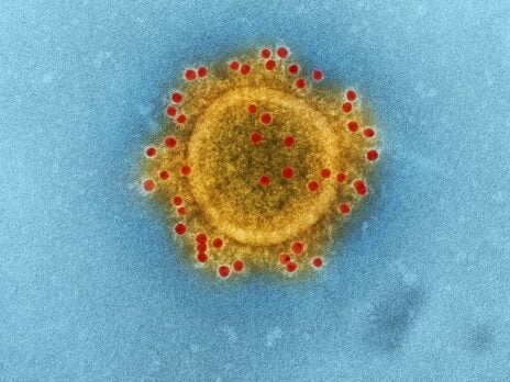 Thailand tops high risk countries from coronavirus, says study