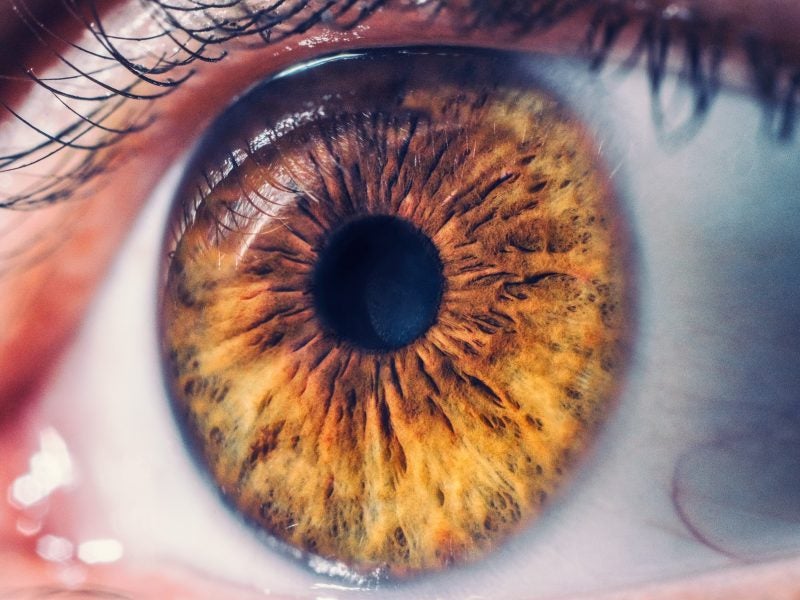 Bridge Biotherapeutics in-licenses eye drug