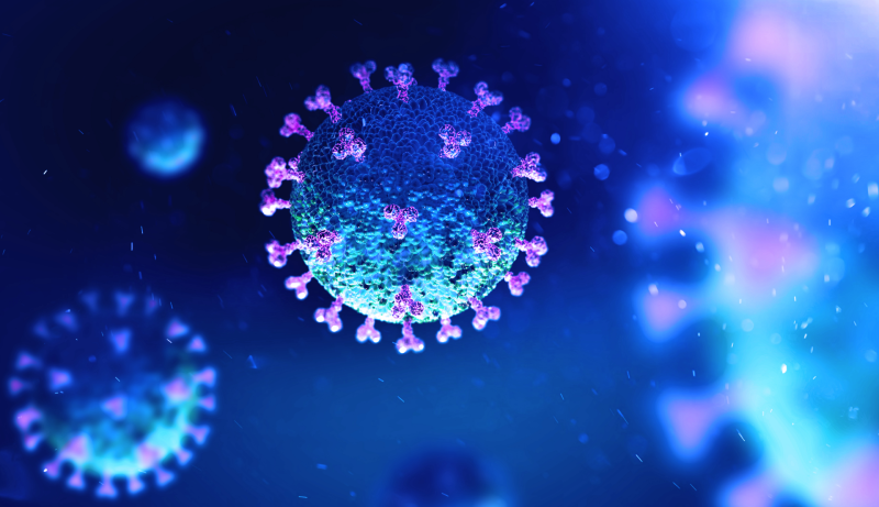 viruses-are-increasing-again-in-the-country-fear-with-six-deaths