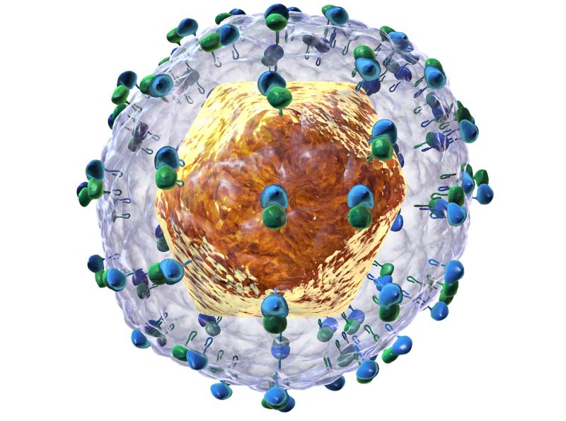 Gilead gets FDA nod for Epclusa to treat hepatitis C in children