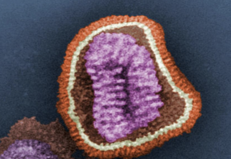 Novavax Nanoflu influenza