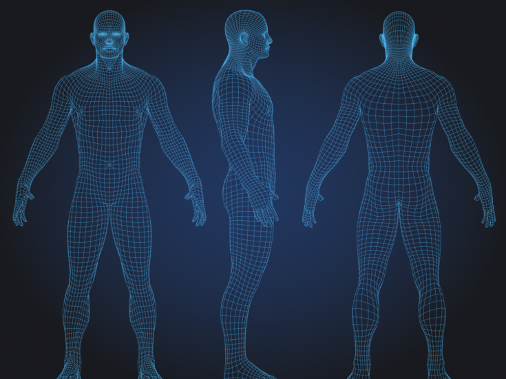 Modelling the human body: a game changer for drug testing?