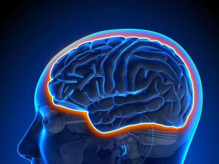 Breaking the blood brain barrier: neurology's greatest challenge