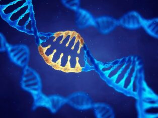 Over $1bn raised in venture capital funding for gene editing in 2021