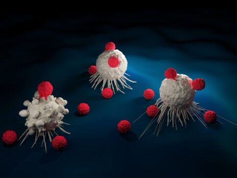 TCR-T cell therapies for cancer: TScan raises $100m in Series C round