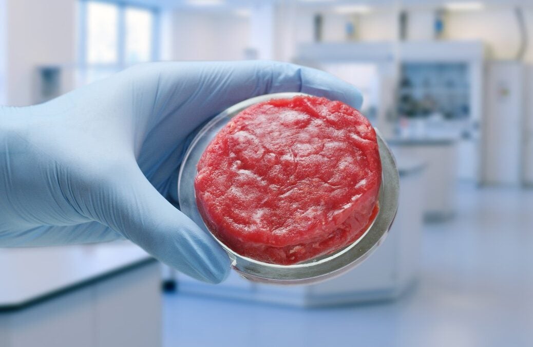 cultured meat recombinant insulin