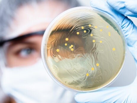 Living medicines: using bacteria to fight cancer