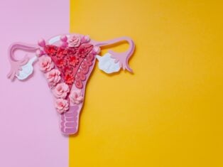 UK Parliament; endometriosis