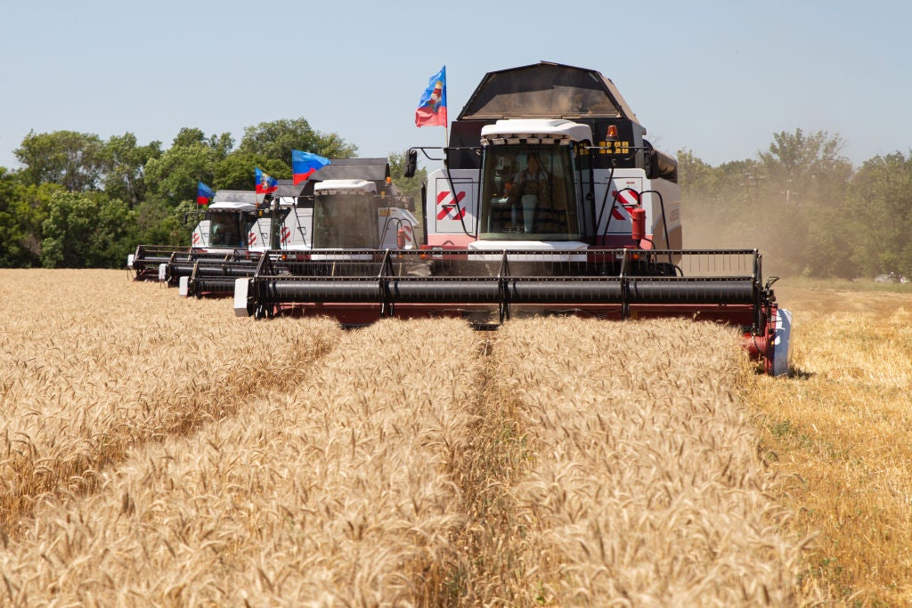 ukraine-wheat-agriculture
