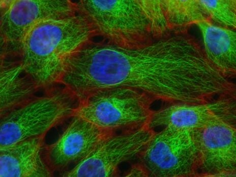 Twist Bioscience and Astellas to develop tumour-targeting antibodies
