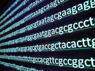 Genomic projects exploit scale as clinical applications play catch-up