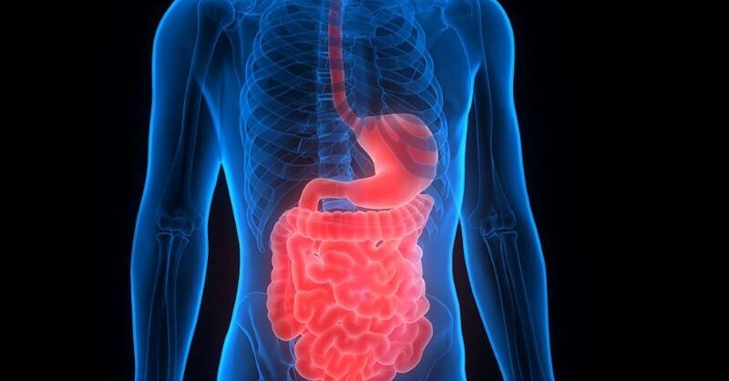 GentiBio and BMS partner for inflammatory bowel disease therapies - Vimarsana News