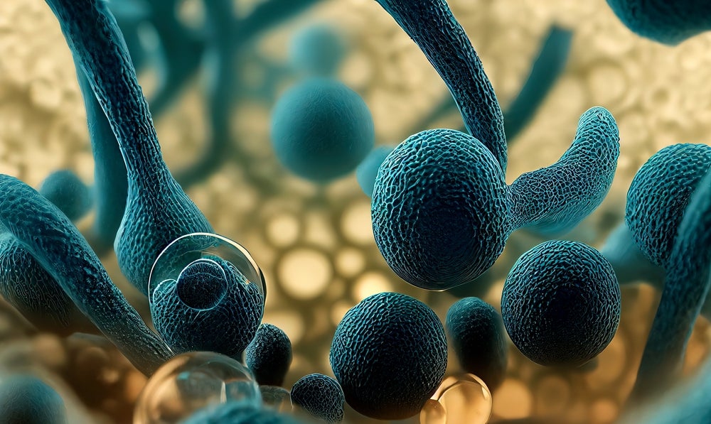 ESCMID 2024: Drug resistance in fungi – a growing issue