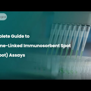guide to ELISpot assays