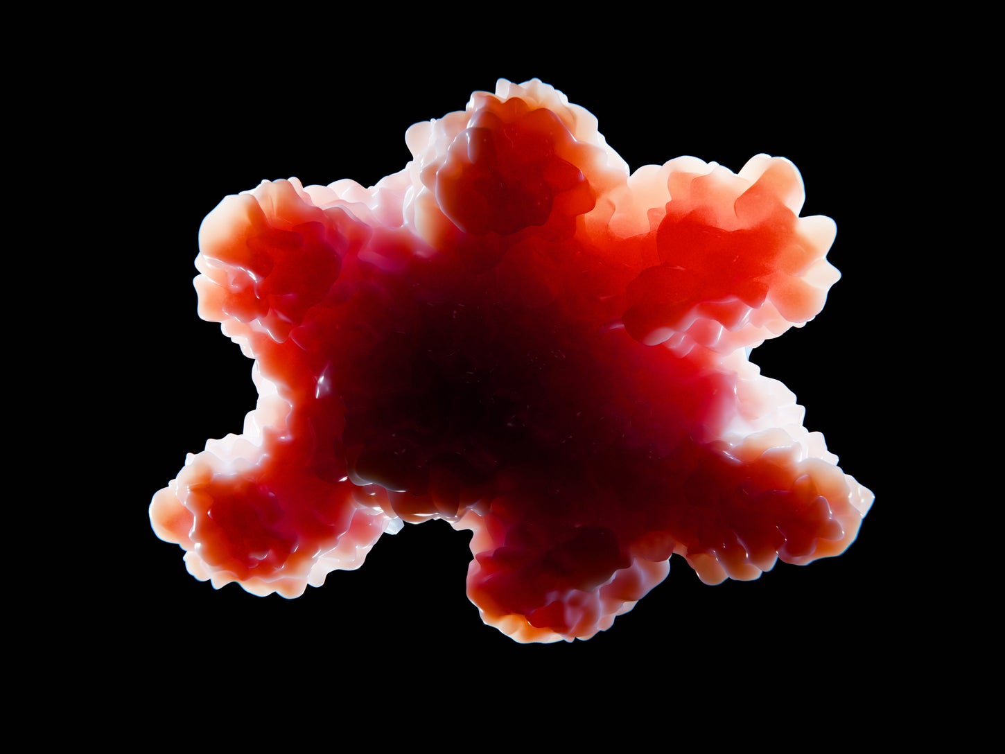 Powering the Organoid Revolution with Scalable, Human-Based Systems-prodcut-feature-image