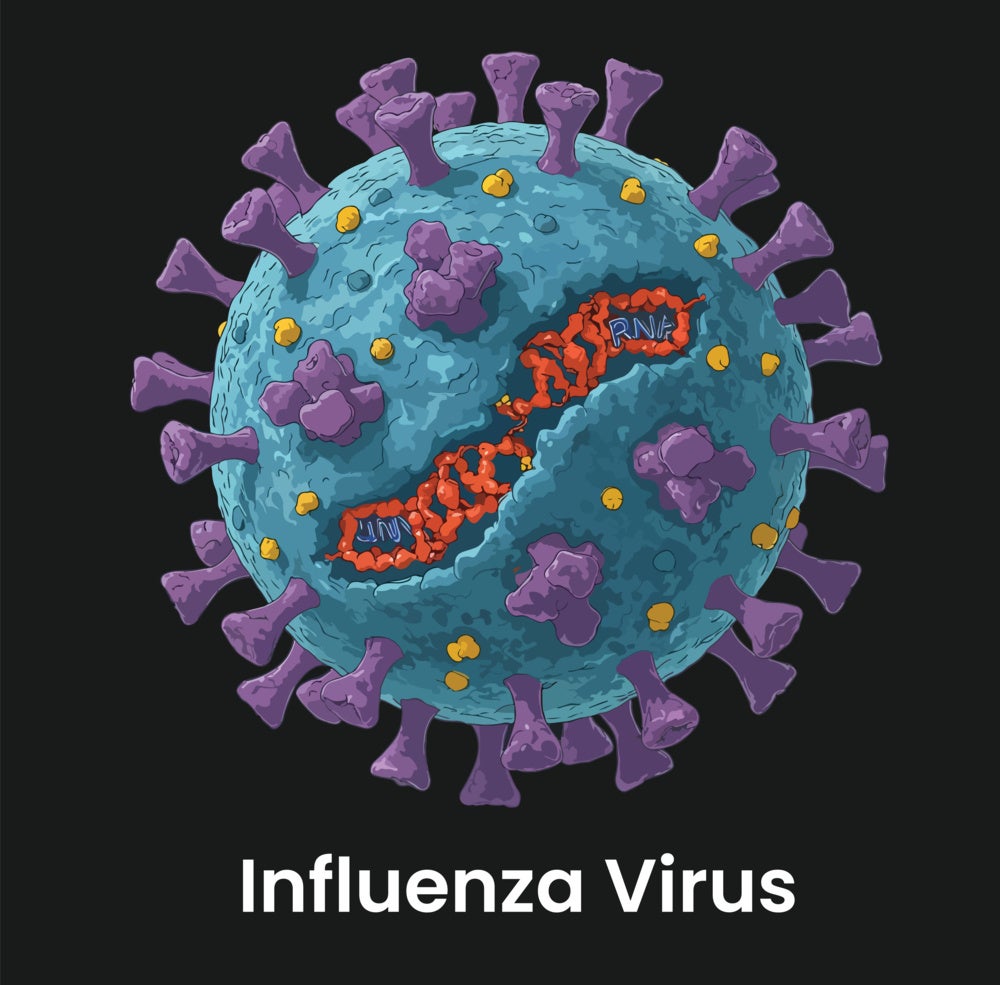 Advancing Influenza Vaccine Development: Sino Biological Launches Antigens for the 2026-2027 Northern Hemisphere Influenza Vaccine Strains-feature-image