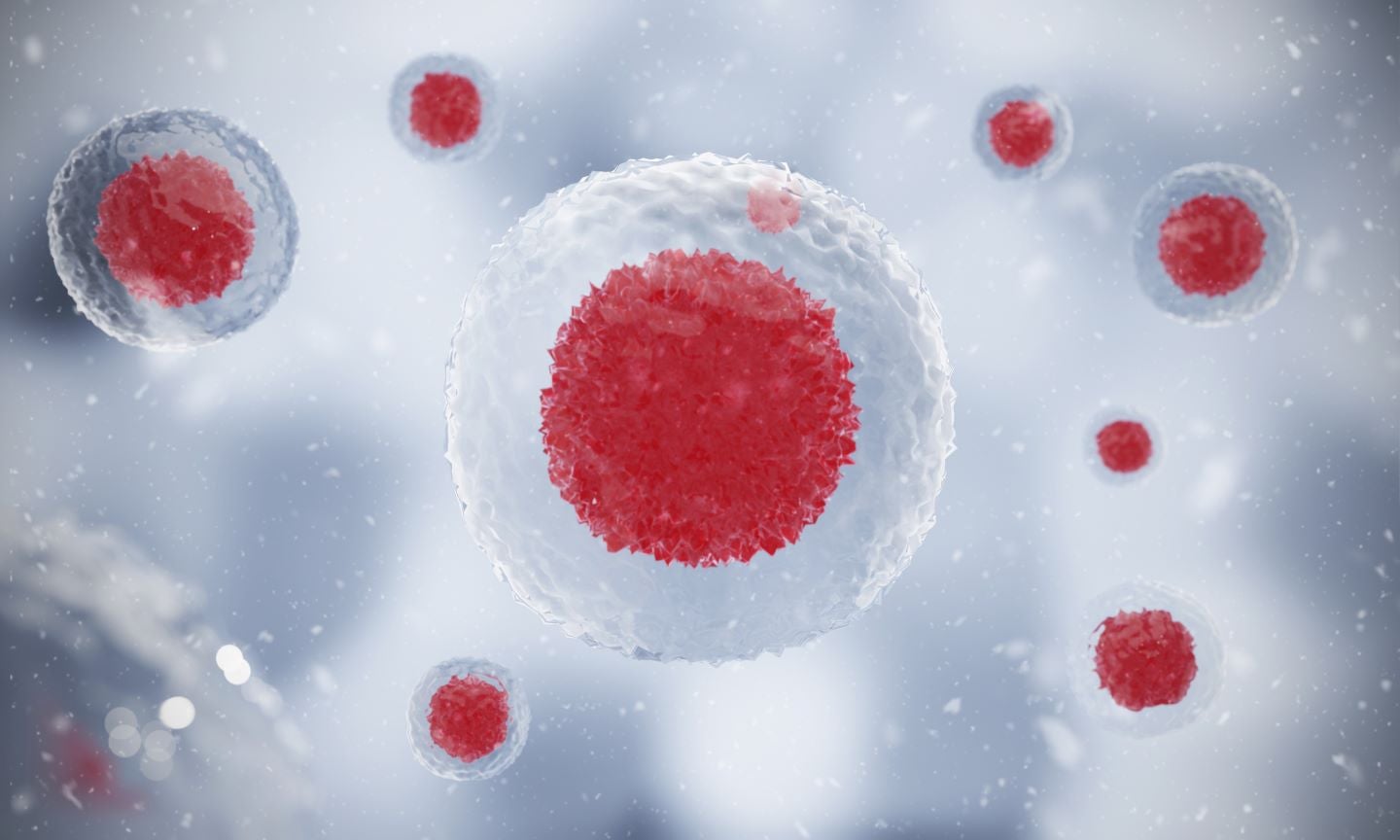 Advancing single-cell transcriptomics into the mainstream of biomedical research - Pharmaceutical Technology