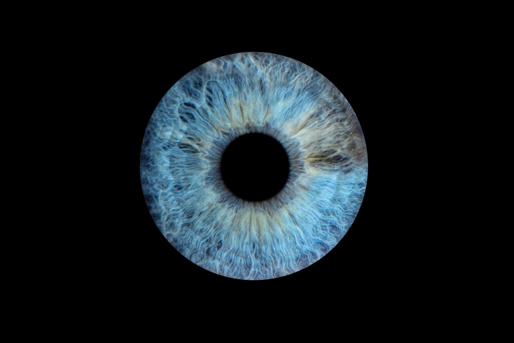 MSD-backed Ray locks in $125m to back eye drug pipeline - Pharmaceutical Technology