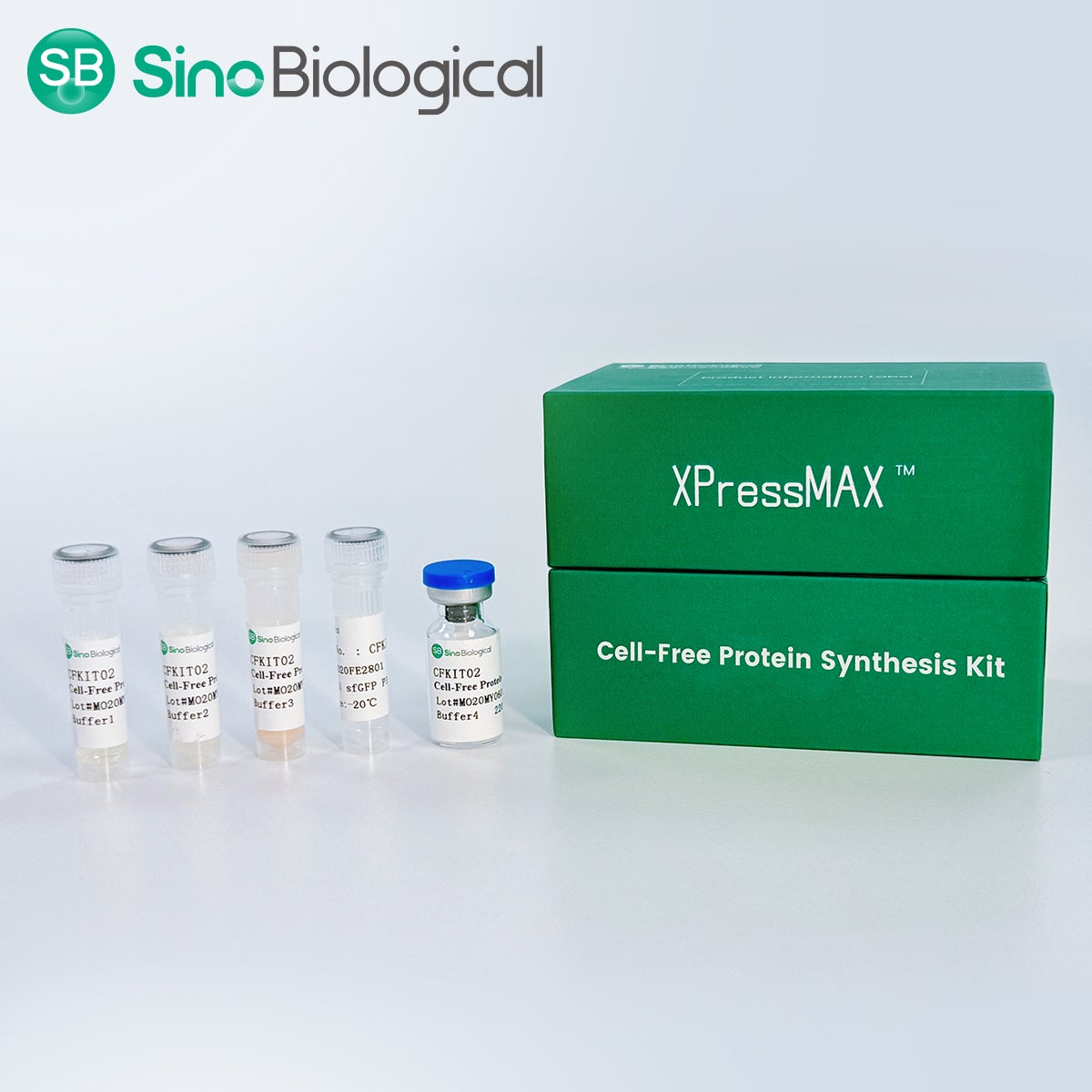 Sino Biological Launches XPressMAX™ Cell-Free Protein Synthesis Kit, Accelerating AI-Powered High-Throughput Antibody Drug Discovery-feature-image