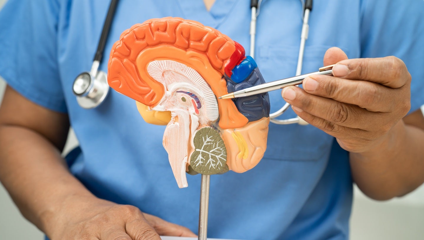 Autobahn’s elunetirom receives FDA fast track for adjunctive bipolar treatment