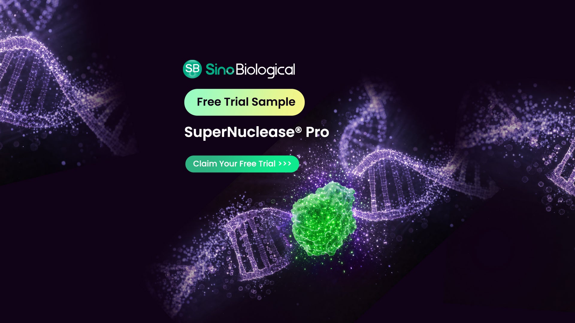 Sino Biological Launches SuperNuclease® Pro with Free Trial Programme-feature-image