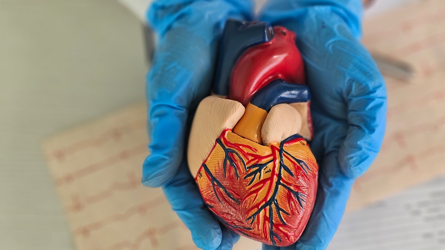 FDA grants fast track designation for HAYA Therapeutics’ HTX-001