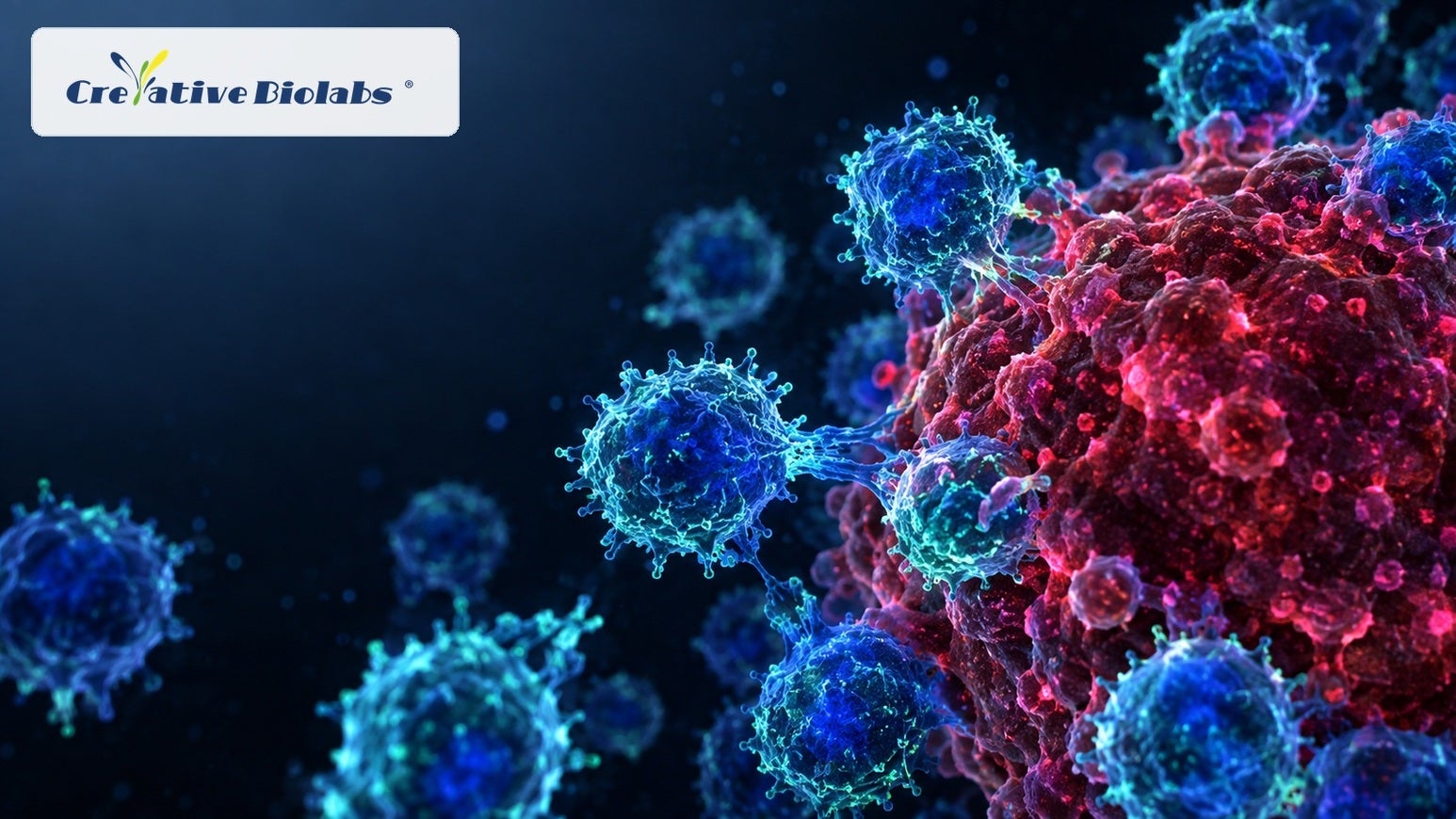 immune-oncology and engineered cell therapy