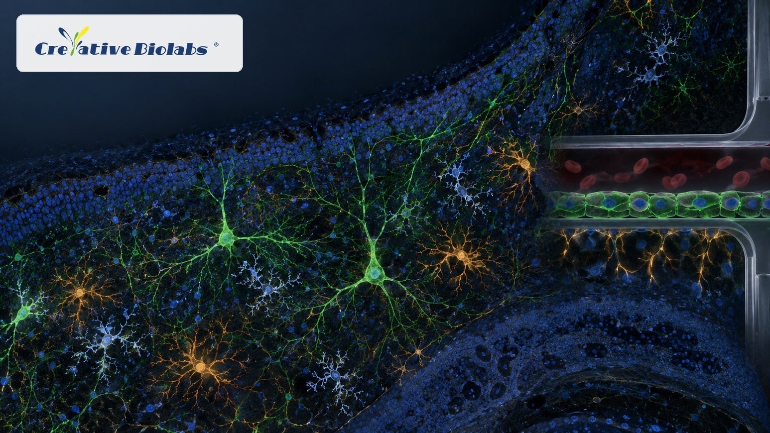 neuroscience drug discovery