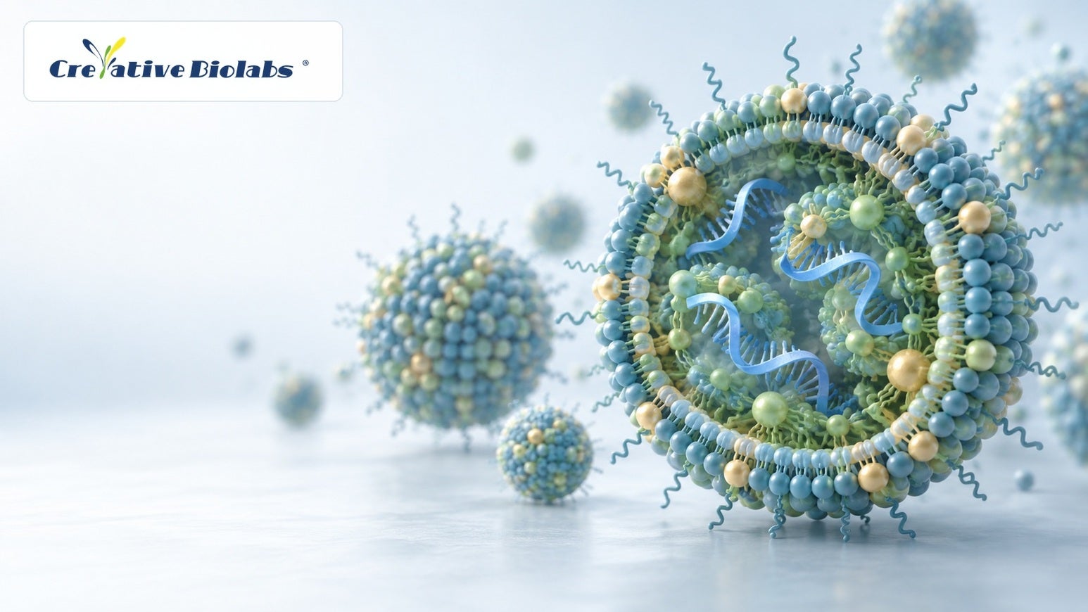 mRNA therapeutics