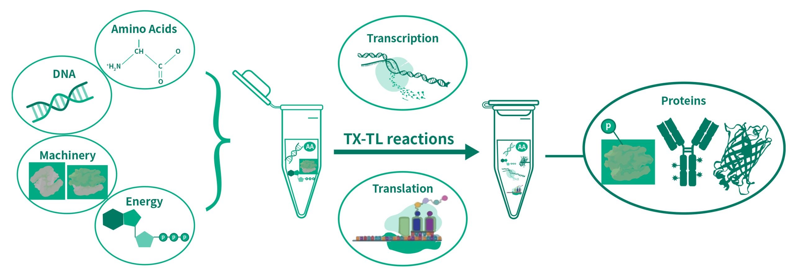 AI drug discovery