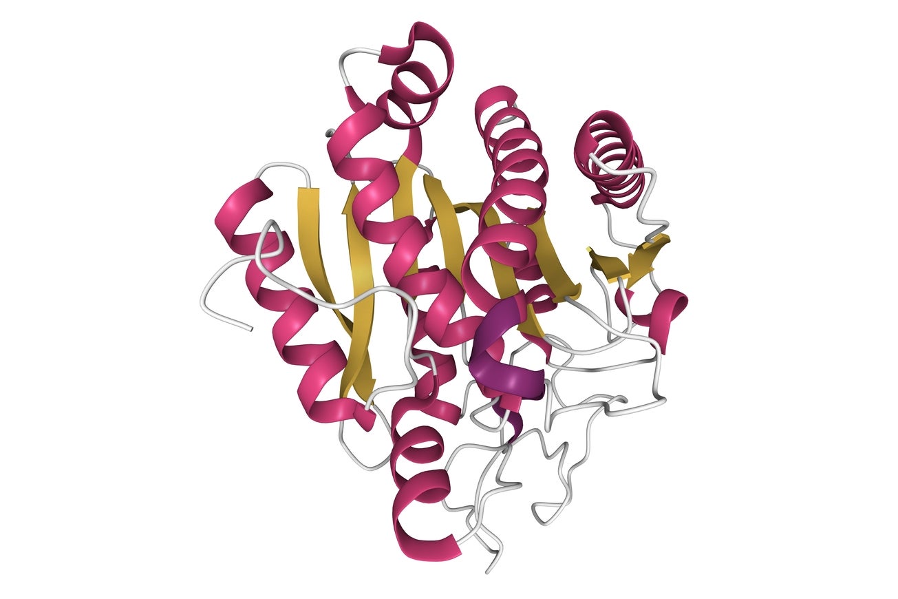 Unlocking Cell Surface Protein Research with Site-Specific Labelling-prodcut-feature-image
