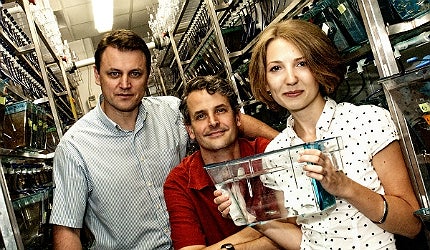 Researchers from Rice University